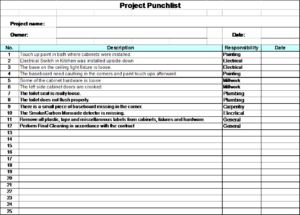 Figure 9. Project Punch List Form